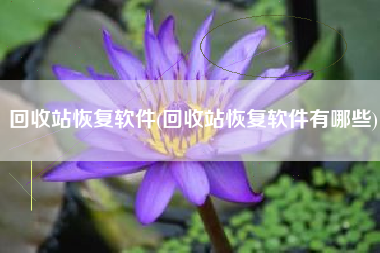 回收站恢复软件(回收站恢复软件有哪些)