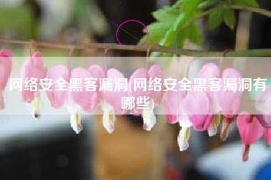 网络安全黑客漏洞(网络安全黑客漏洞有哪些)