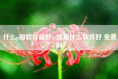 什么p图软件最好(p图用什么软件好 免费的)