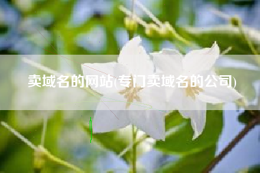 卖域名的网站(专门卖域名的公司)