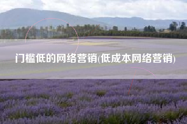 门槛低的网络营销(低成本网络营销)