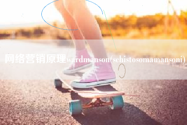 网络营销原理wardmanson(schistosomamansoni)