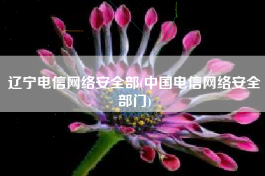 辽宁电信网络安全部(中国电信网络安全部门)