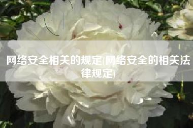 网络安全相关的规定(网络安全的相关法律规定)