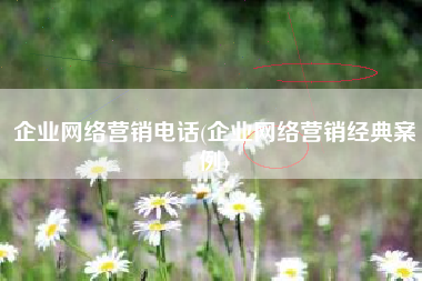企业网络营销电话(企业网络营销经典案例)