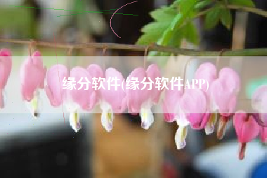 缘分软件(缘分软件APP)