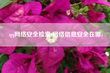 qq网络安全检索(网络信息安全在哪)
