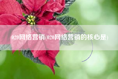 020网络营销(020网络营销的核心是)