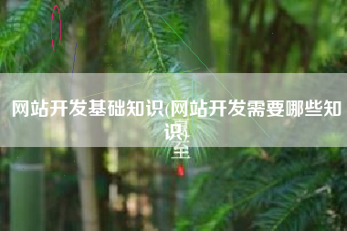 网站开发基础知识(网站开发需要哪些知识)