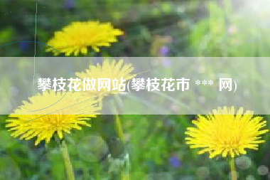 攀枝花做网站(攀枝花市 *** 网)