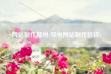网站制作郑州(郑州网站制作价钱)