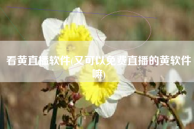 看黄直播软件(又可以免费直播的黄软件嘛)