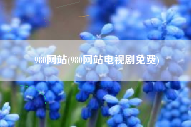 980网站(980网站电视剧免费)