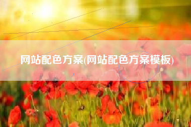 网站配色方案(网站配色方案模板)