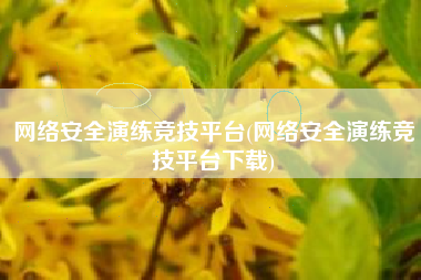 网络安全演练竞技平台(网络安全演练竞技平台下载)