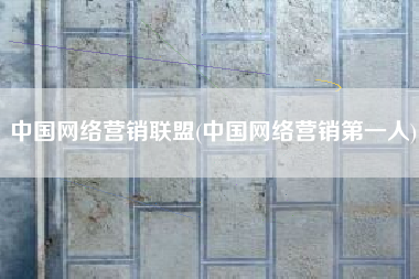 中国网络营销联盟(中国网络营销第一人)