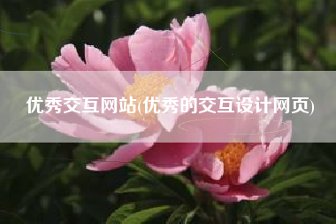 优秀交互网站(优秀的交互设计网页)