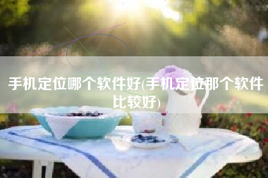 手机定位哪个软件好(手机定位那个软件比较好)