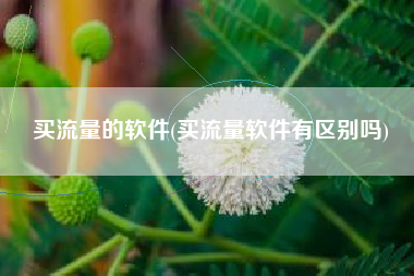 买流量的软件(买流量软件有区别吗)