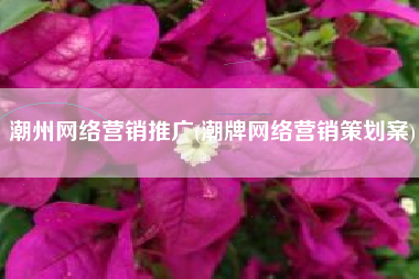 潮州网络营销推广(潮牌网络营销策划案)