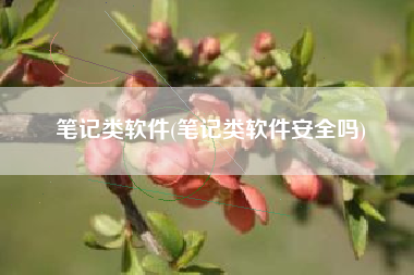 笔记类软件(笔记类软件安全吗)