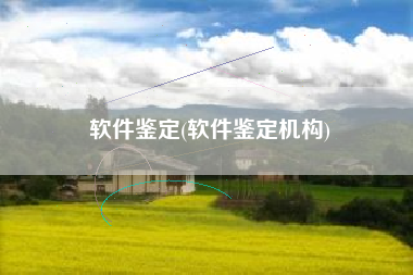 软件鉴定(软件鉴定机构)