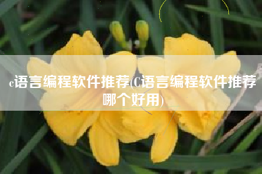 c语言编程软件推荐(C语言编程软件推荐哪个好用)