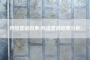 网络营销因素(网络营销因素分析)