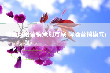 啤酒网络营销策划方案(啤酒营销模式)