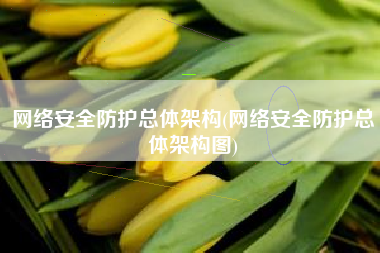 网络安全防护总体架构(网络安全防护总体架构图)