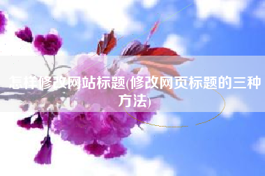 怎样修改网站标题(修改网页标题的三种方法)