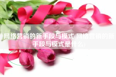 网络营销的新手段与模式(网络营销的新手段与模式是什么)