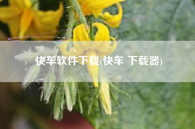 快车软件下载(快车 下载器)