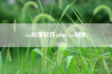 iso刻录软件(nero iso刻录)