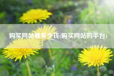 购买网站要多少钱(购买网站的平台)