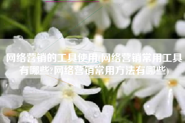 网络营销的工具使用(网络营销常用工具有哪些?网络营销常用方法有哪些)
