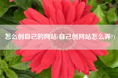 怎么创自己的网站(自己创网站怎么弄?)