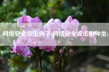 网络安全攻击例子(网络安全攻击的种类)
