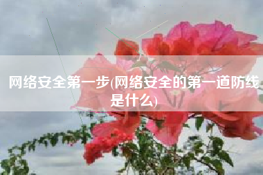 网络安全第一步(网络安全的第一道防线是什么)