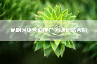 昆明网络营销推广(昆明网站营销)