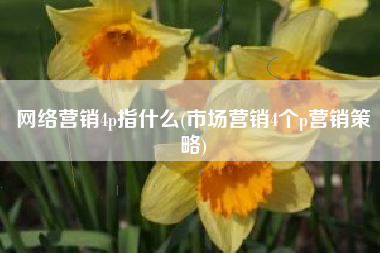 网络营销4p指什么(市场营销4个p营销策略)