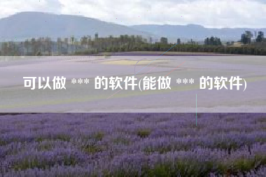可以做 *** 的软件(能做 *** 的软件)