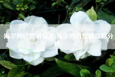 海尔网络营销模式(海尔网络营销战略分析)
