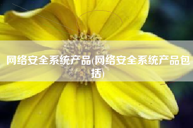网络安全系统产品(网络安全系统产品包括)