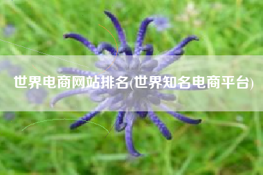 世界电商网站排名(世界知名电商平台)