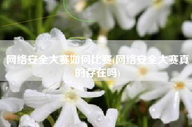 网络安全大赛如何比赛(网络安全大赛真的存在吗)