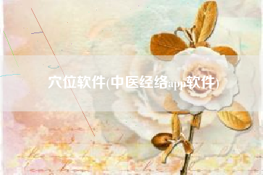 穴位软件(中医经络app软件)