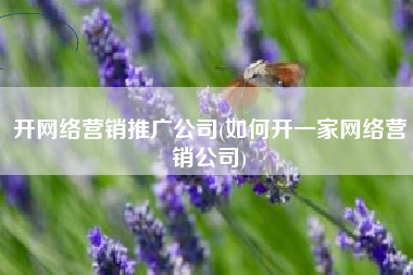 开网络营销推广公司(如何开一家网络营销公司)
