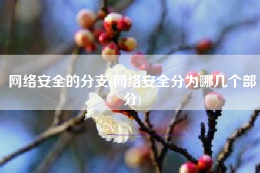 网络安全的分支(网络安全分为哪几个部分)