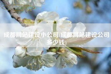成都网站建设小公司(成都网站建设公司多少钱)